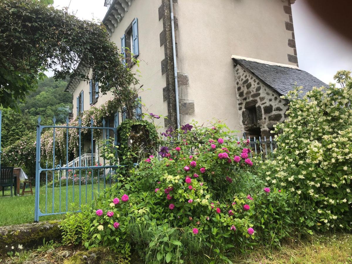 Le Figarelou Bed and Breakfast Thiézac Exteriör bild