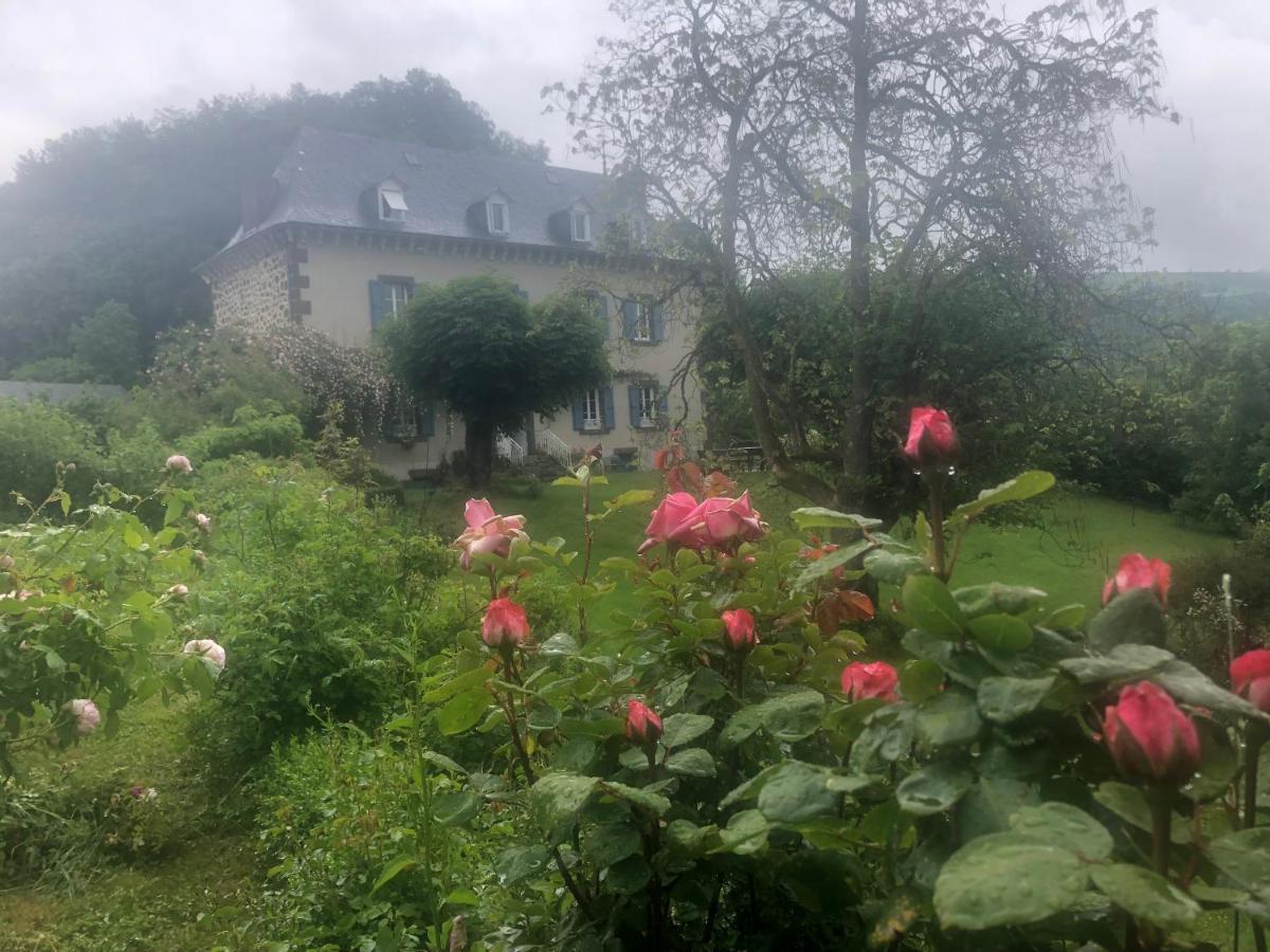 Le Figarelou Bed and Breakfast Thiézac Exteriör bild