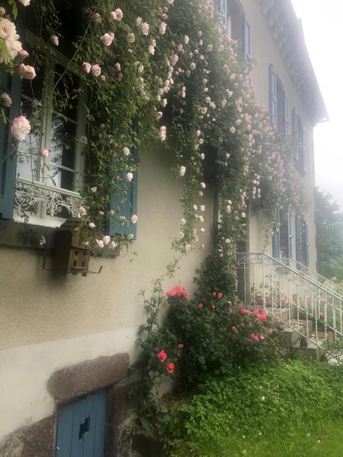 Le Figarelou Bed and Breakfast Thiézac Exteriör bild