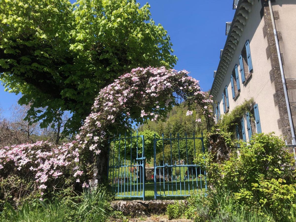 Le Figarelou Bed and Breakfast Thiézac Exteriör bild