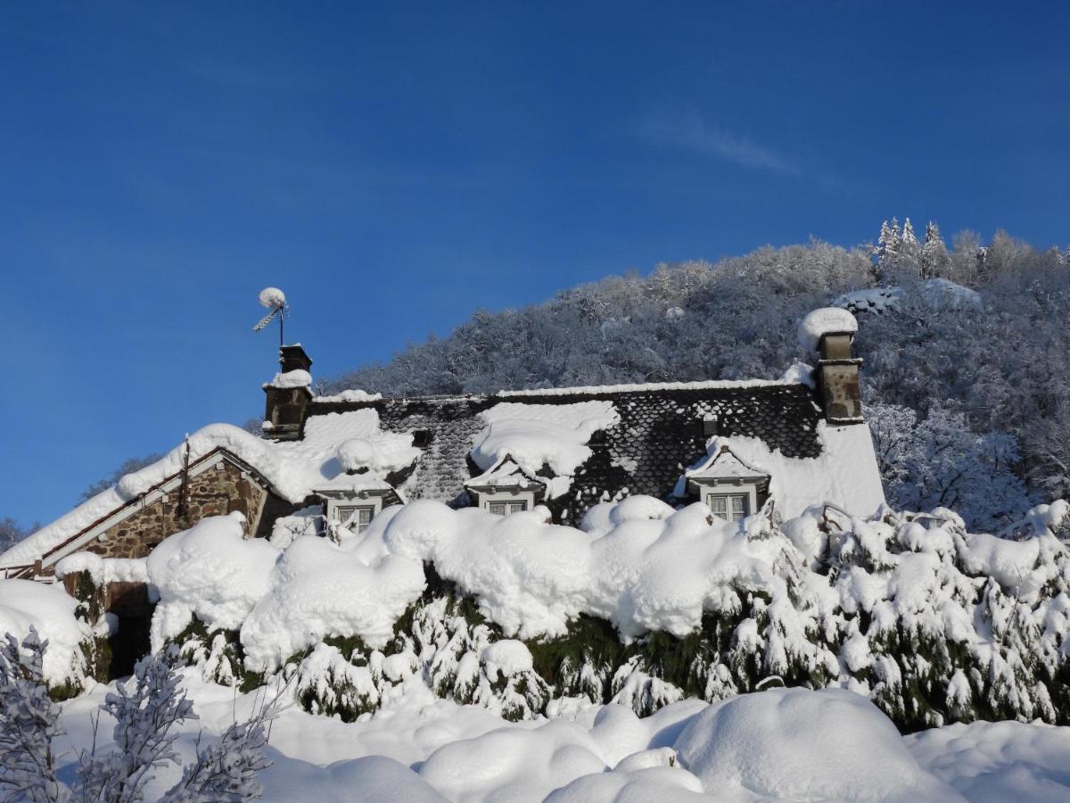 Le Figarelou Bed and Breakfast Thiézac Exteriör bild